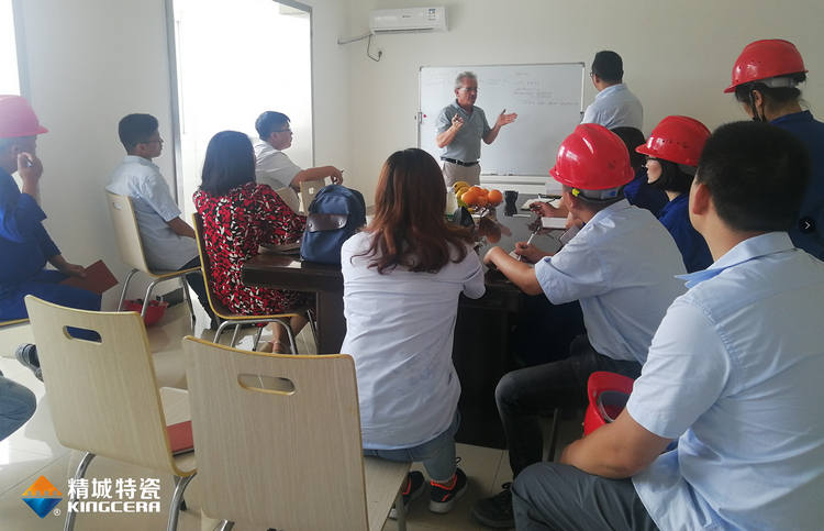 湖南尊龙体育特邀意大利专家举行质量治理培训