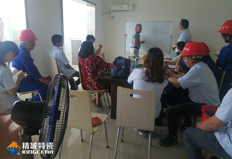 湖南尊龙体育特邀意大利专家举行质量治理培训