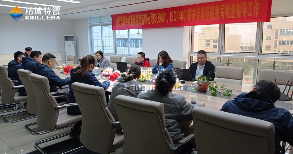 尊龙体育特瓷ISO14001情形治理系统认证评估审核