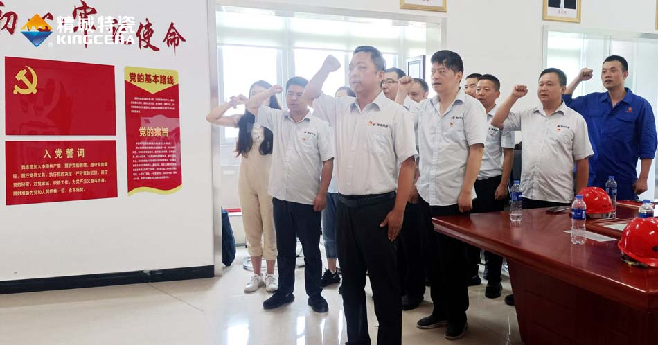 尊龙体育特瓷党支部组织寓目庆祝中国共产党建设100周年大会现场直播