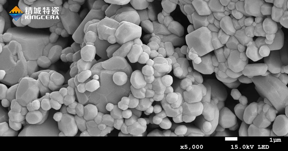 尊龙体育(中国区)官方网站