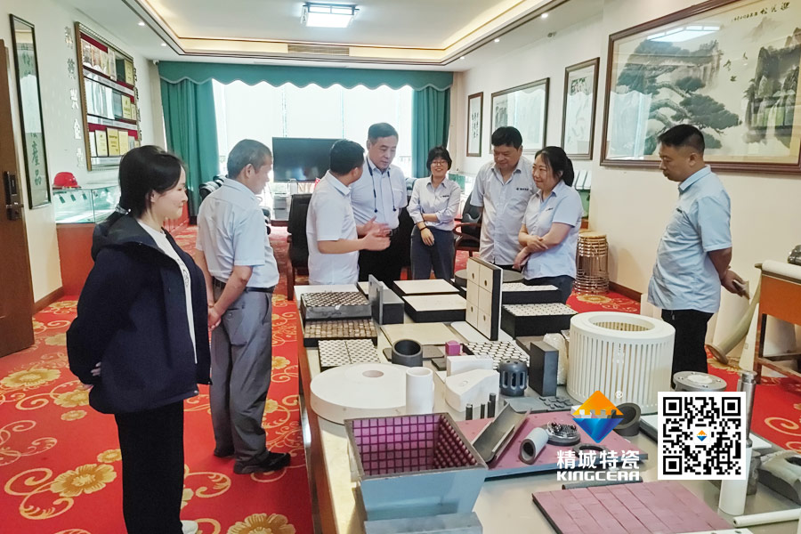 清华大学潘伟教授到访尊龙体育特瓷