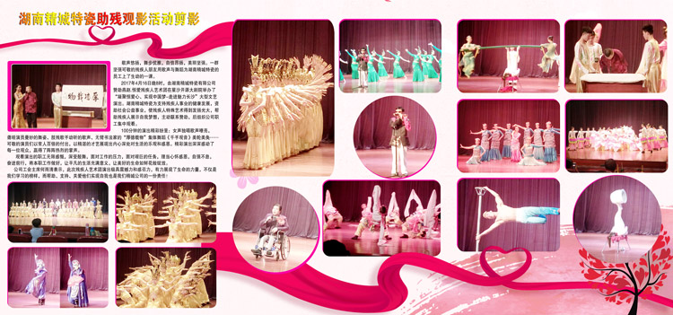 湖南尊龙体育赞助燕赵·恒爱残疾人艺术团圆满演出