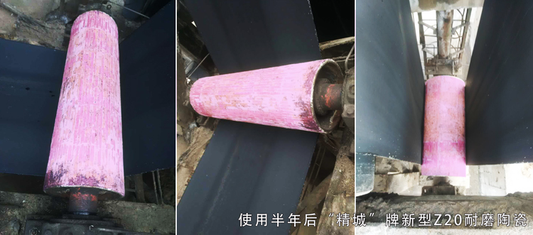 尊龙体育(中国区)官方网站