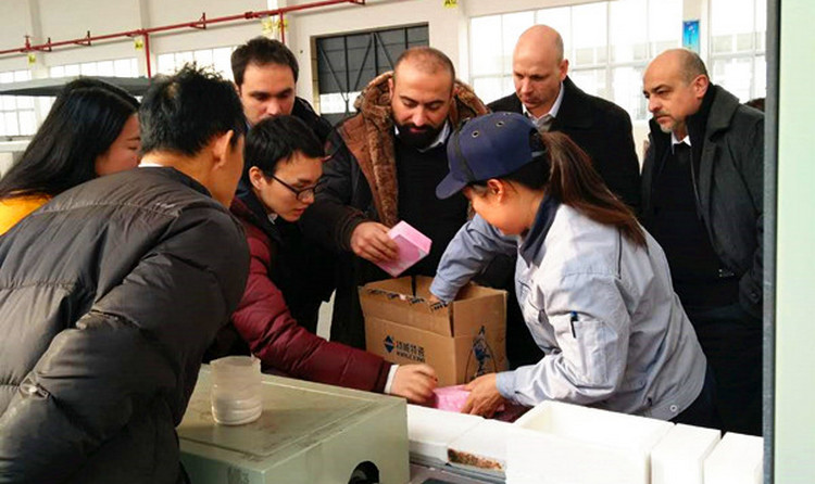 尊龙体育(中国区)官方网站